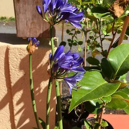 La Boetienne Jardin A סרלה-לה קנדה